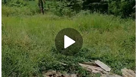 Dijual tanah komersial di 0 jalan raya Balong Panggang