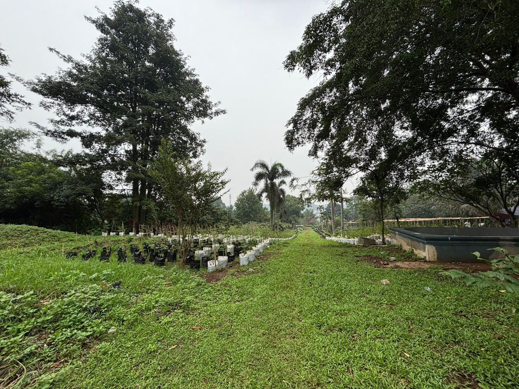 Dijual Lahan di Cibinong