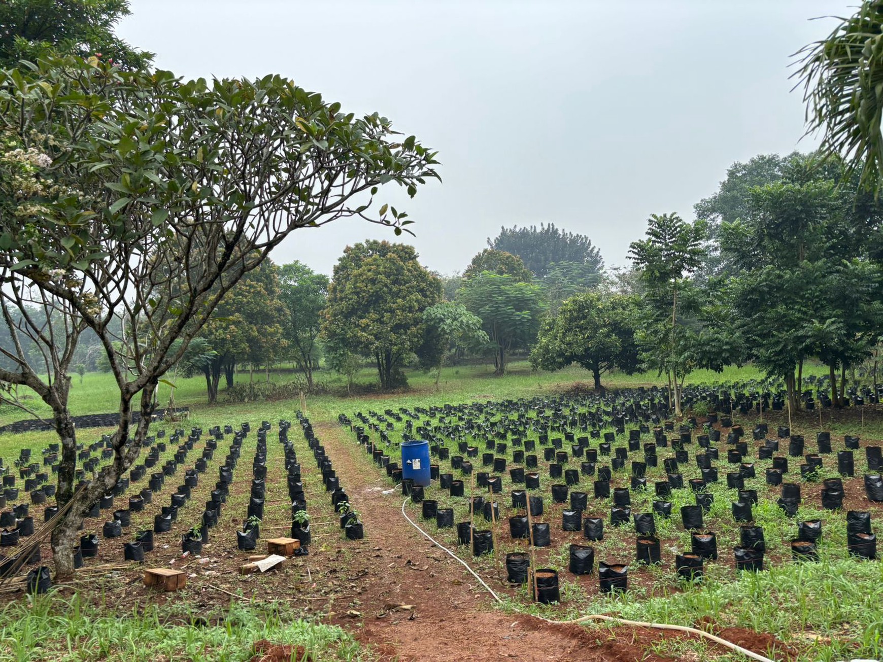 Dijual Lahan di Cibinong