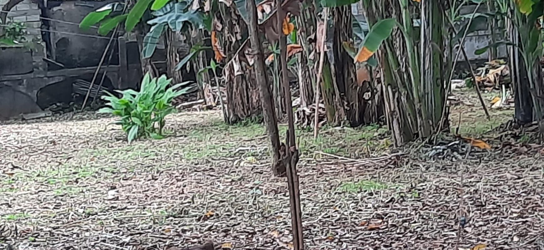 Dijual Lahan di Lebak Bulus