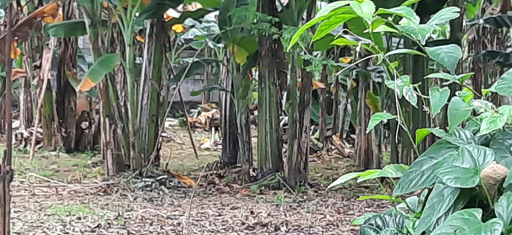 Dijual Lahan di Lebak Bulus