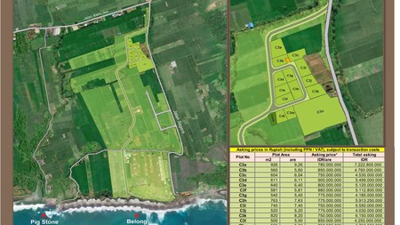 Land  Close To The Beach Belong  Tabanan Bali