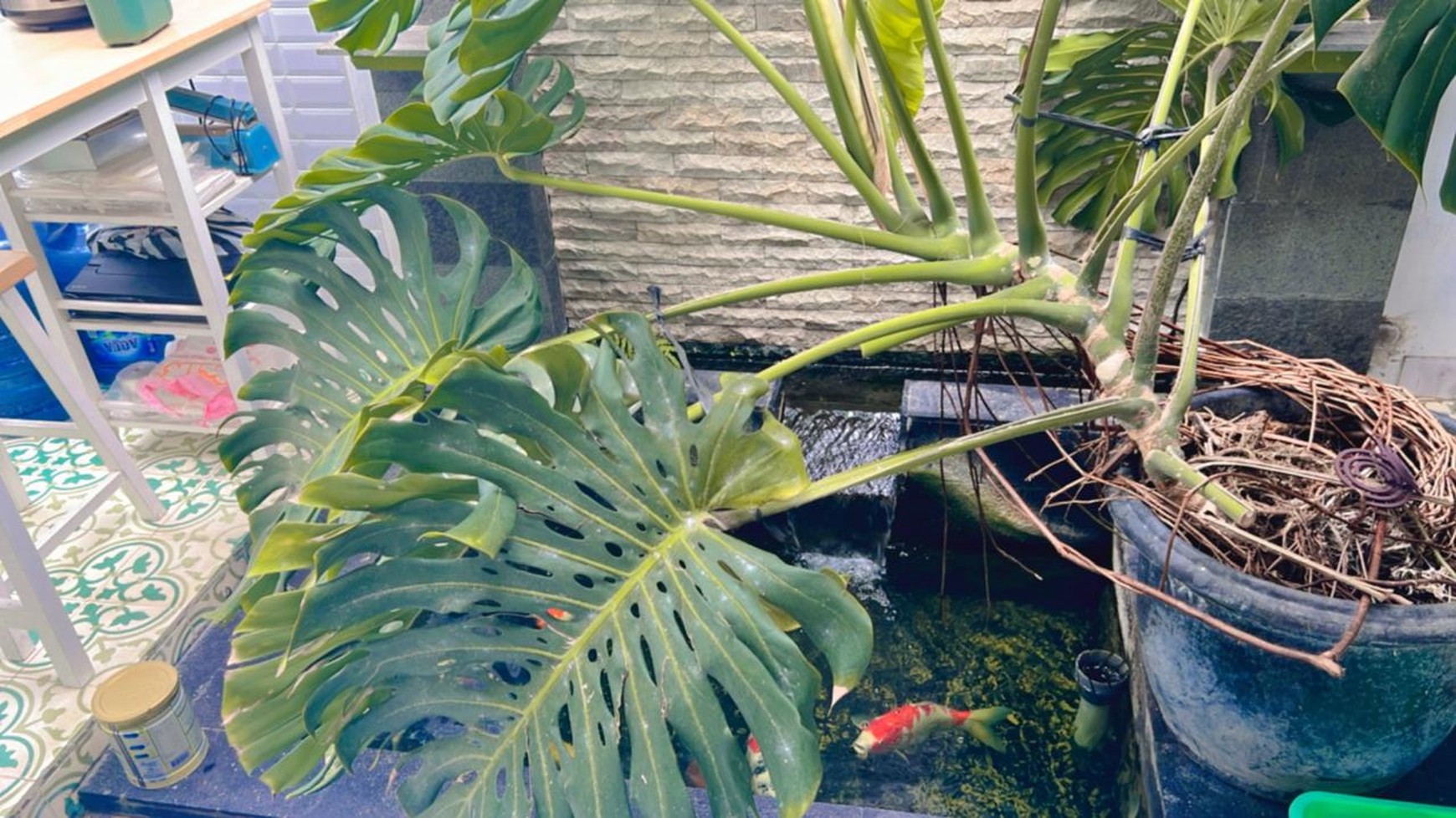 Rumah Dalam Perum Villa Gardenia Bangunjiwo Kasihan Bantul