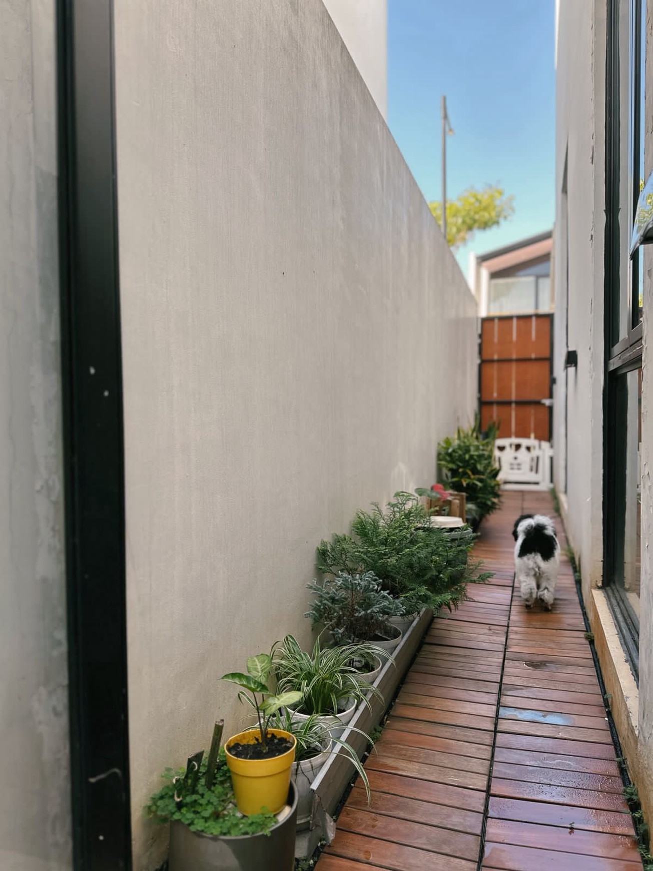 DIjual rumah minimalis modern di Cendana Parc Lippo Karawaci Tangerang