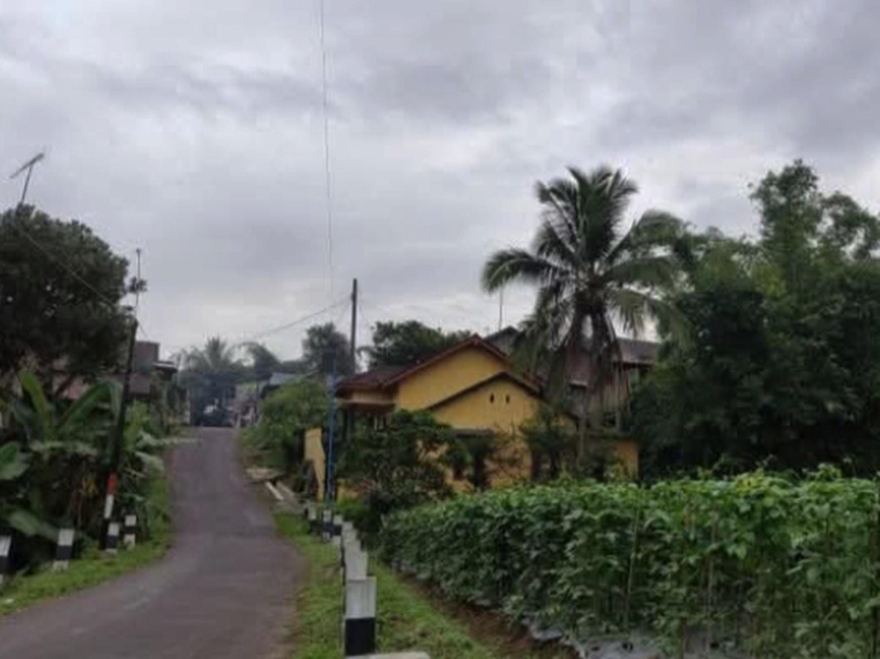 Miliki Rumah Harga Terjangkau Dengan VIew Pegunungan Lokasi Di Desa Semen Windusari Magelang Jawa Tengah