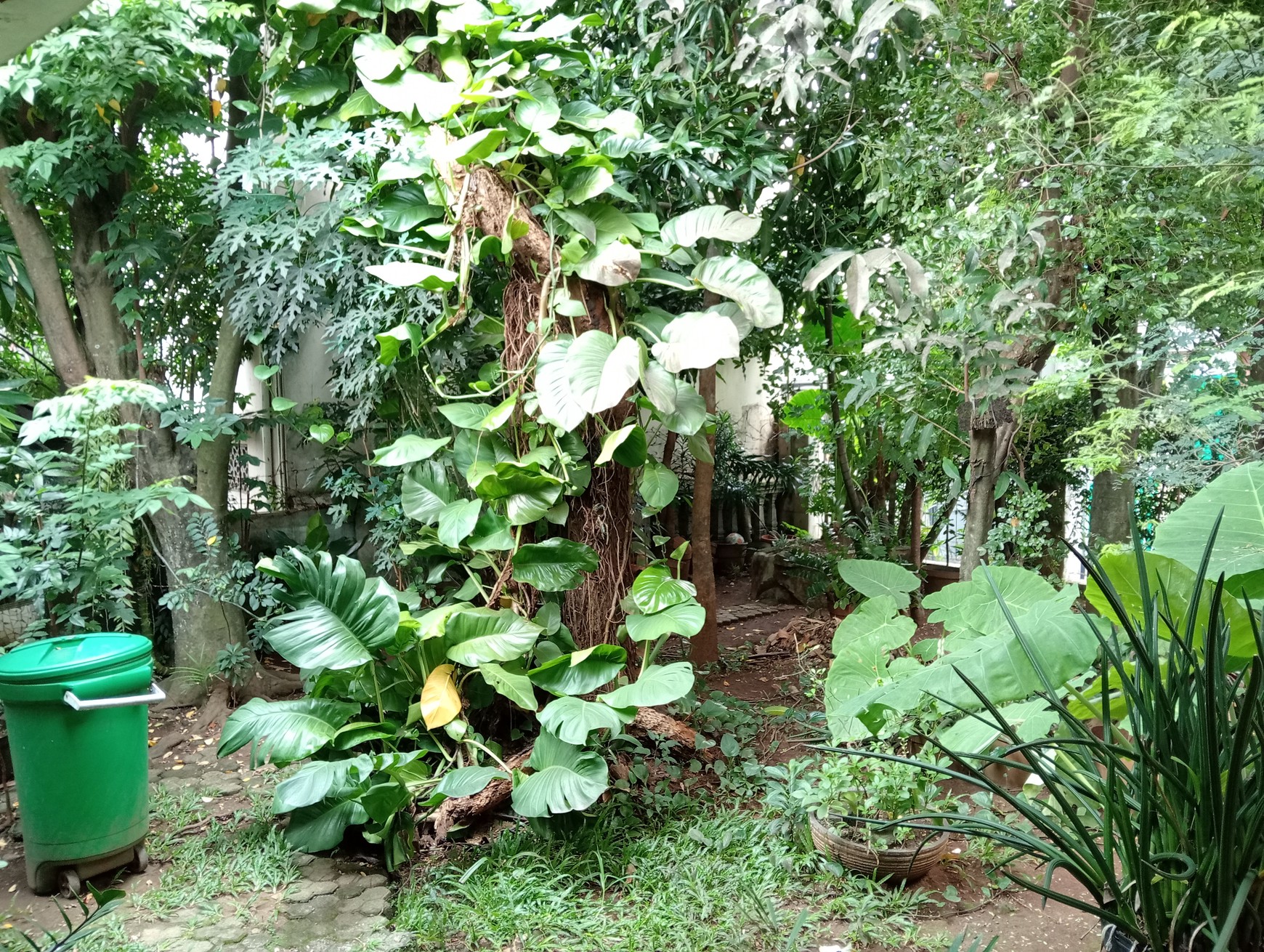 Munjul, Rumah Tumbuh, Halaman Luas, Bebas Banjir, Nego