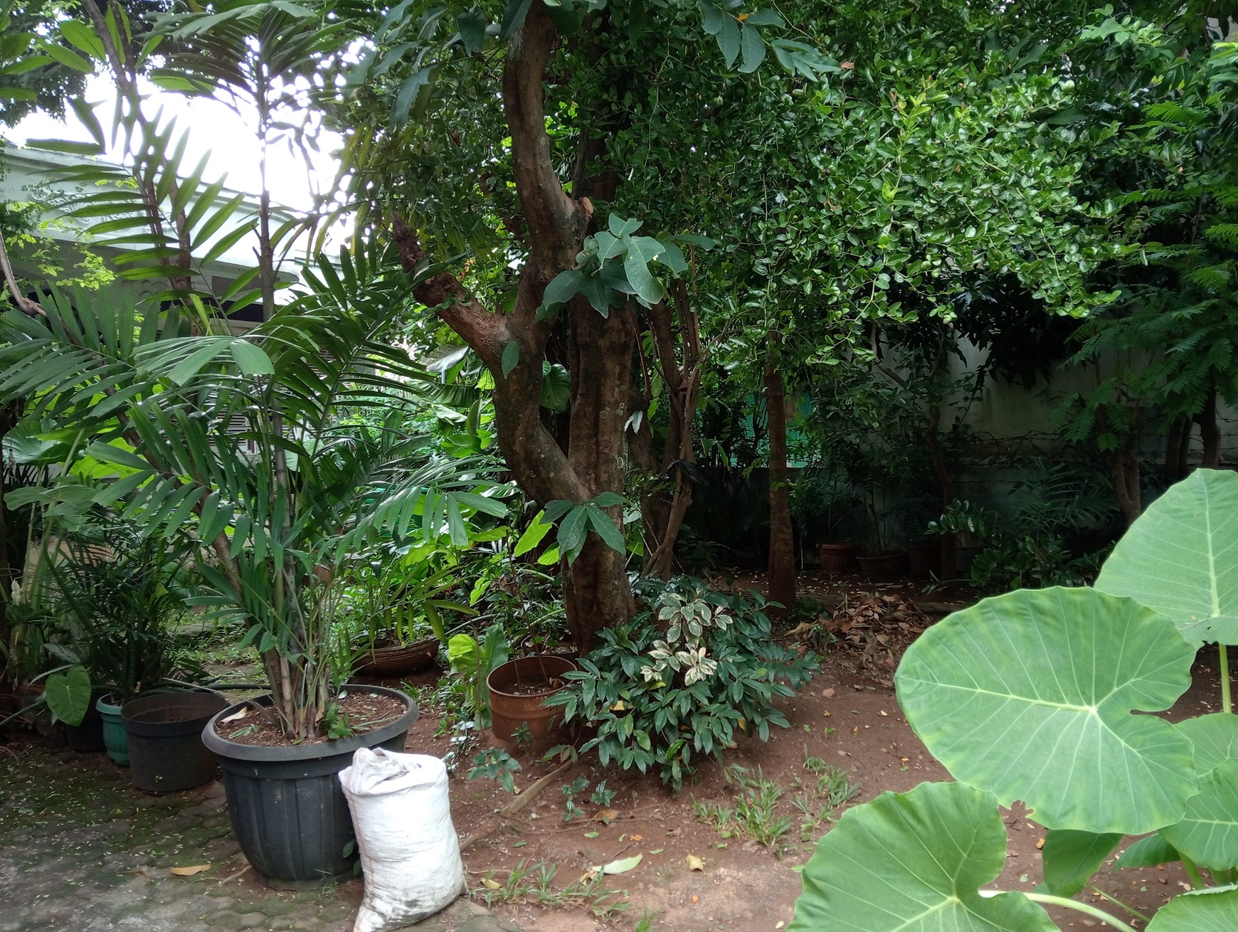 Munjul, Rumah Tumbuh, Halaman Luas, Bebas Banjir, Nego