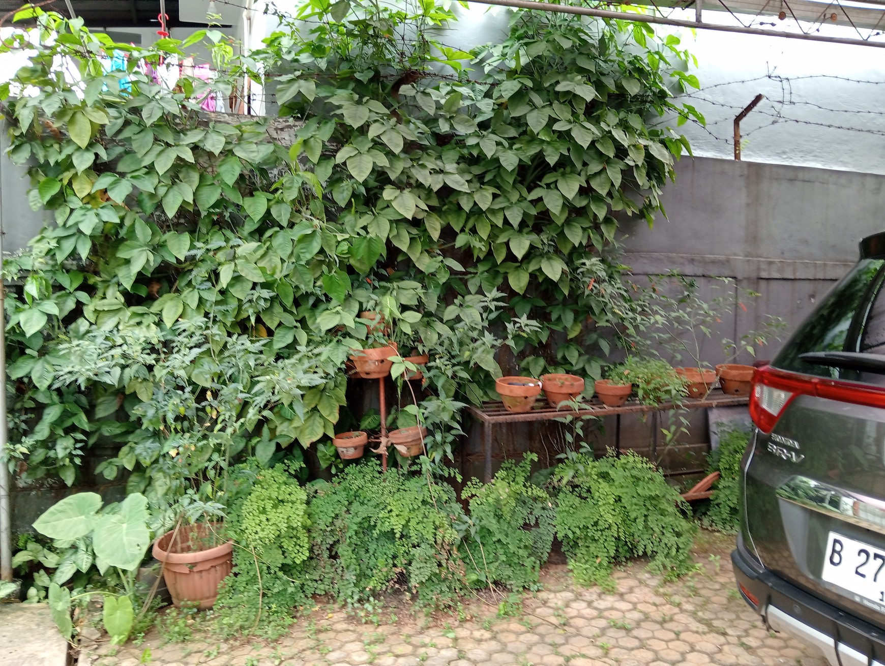 Munjul, Rumah Tumbuh, Halaman Luas, Bebas Banjir, Nego