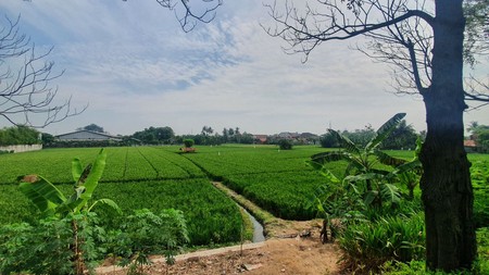 Dijual Tanah 1 hektar lokasi Strategis Jalan Raya By Pass Karawang Barat 