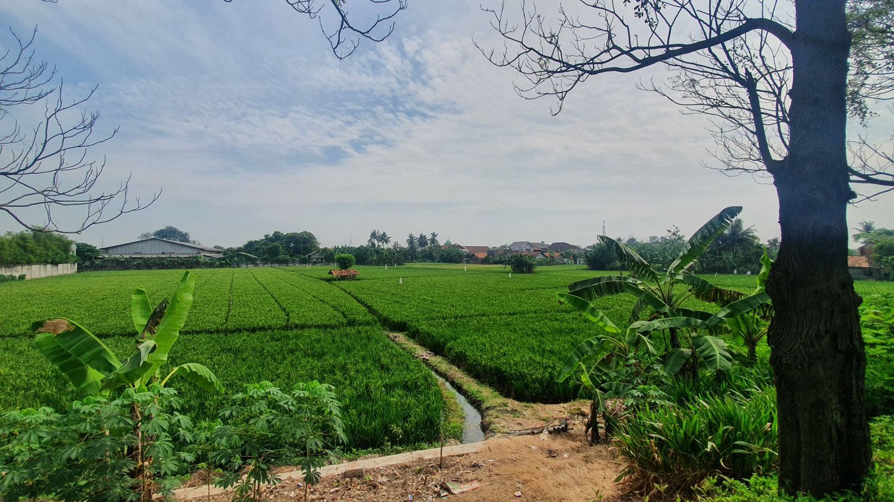 Dijual Tanah 1 hektar lokasi Strategis Jalan Raya By Pass Karawang Barat