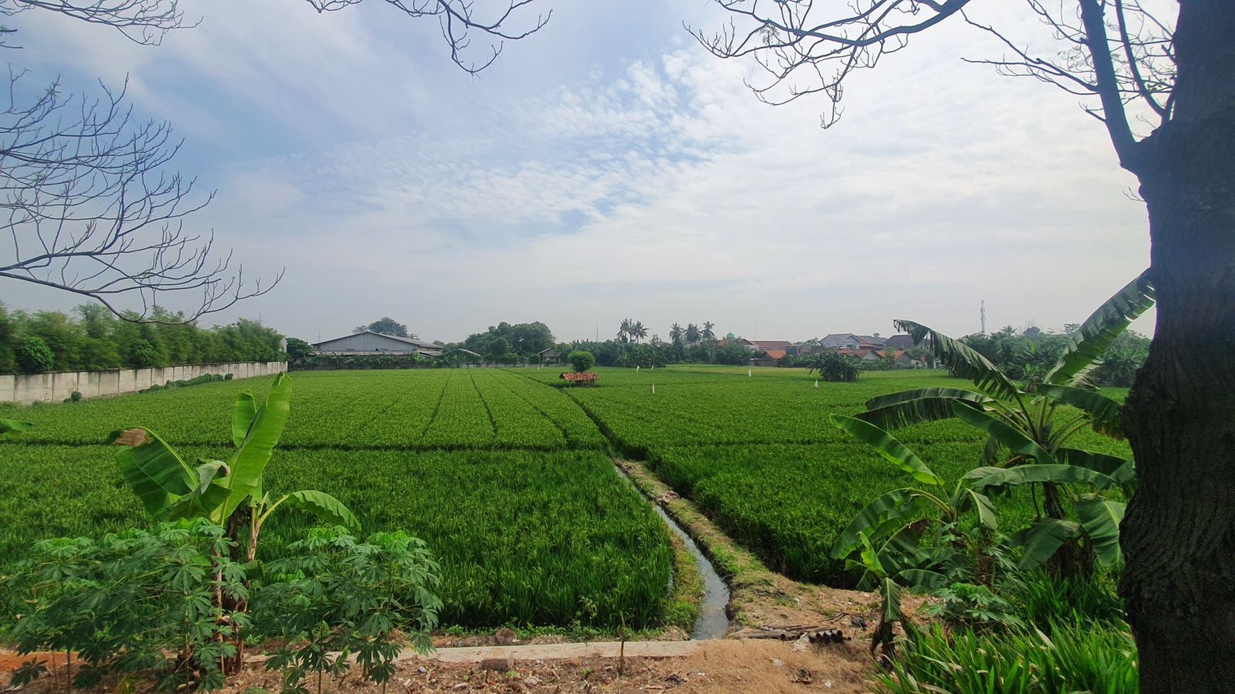 Dijual Tanah 1 hektar lokasi Strategis Jalan Raya By Pass Karawang Barat