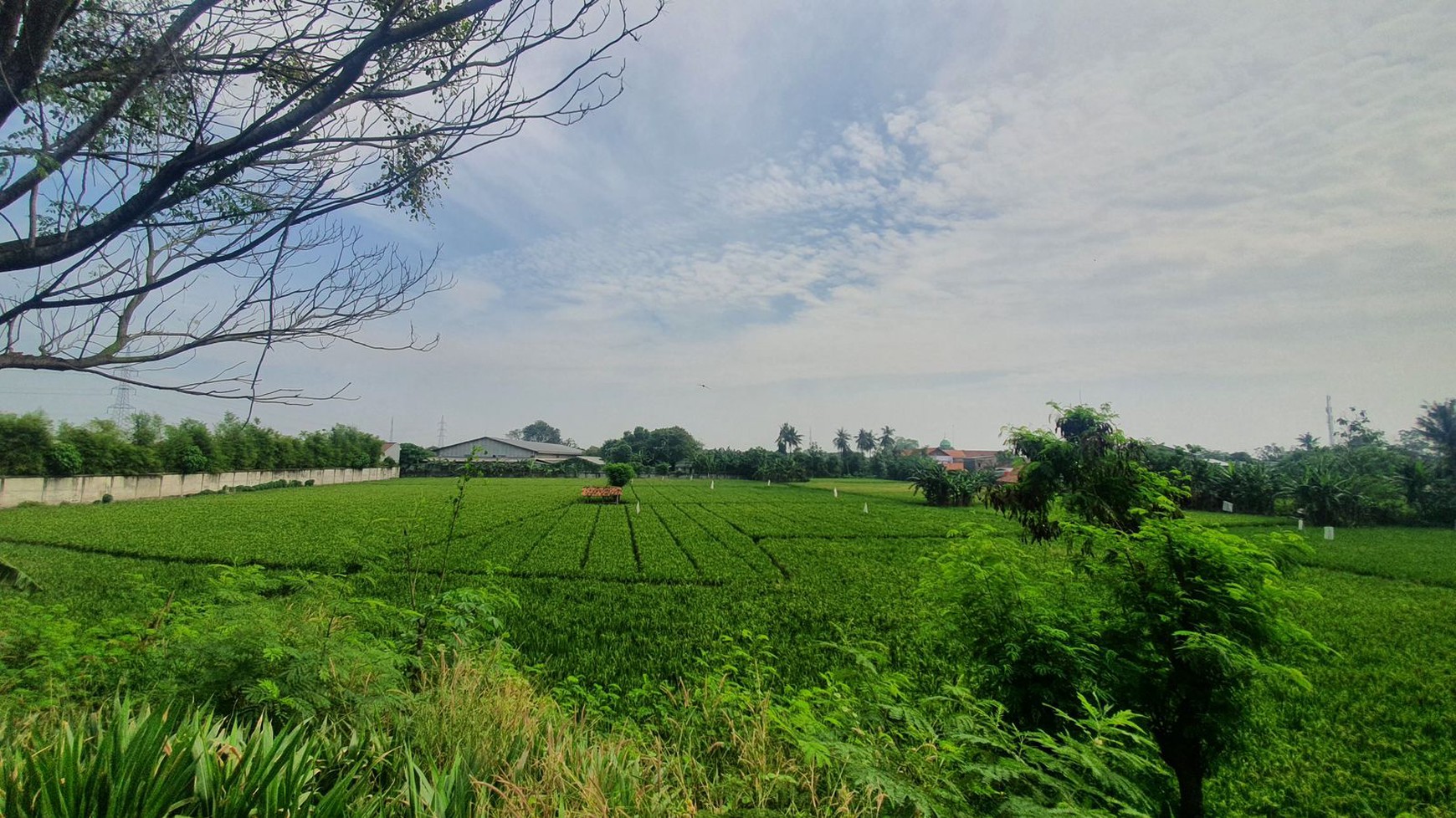 Dijual Tanah 1 hektar lokasi Strategis Jalan Raya By Pass Karawang Barat