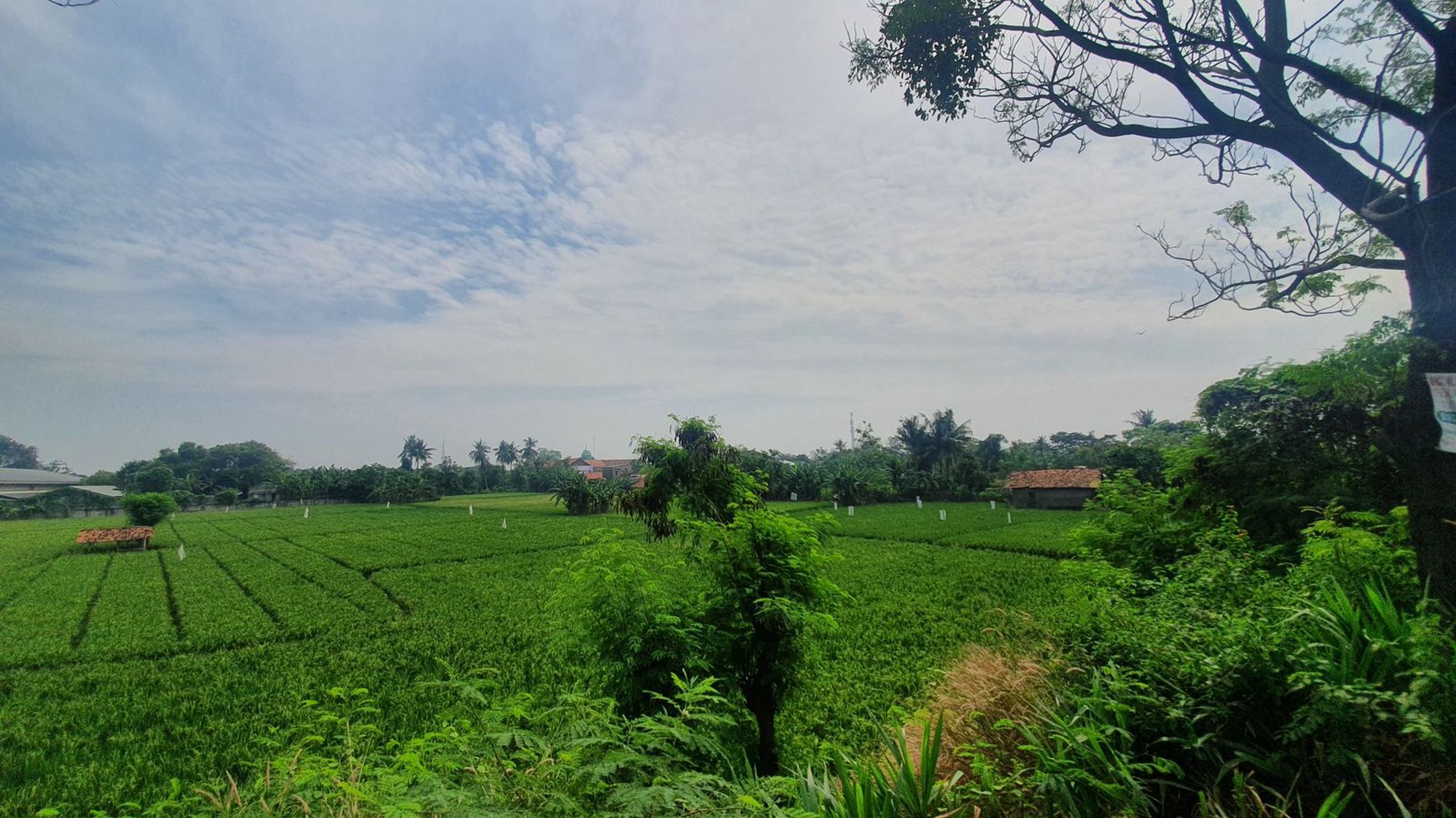 Dijual Tanah 1 hektar lokasi Strategis Jalan Raya By Pass Karawang Barat