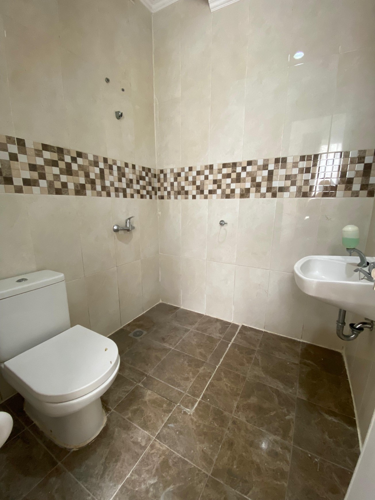 Rumah Tropical Minimalis Cinere Ada Club House Dan Pool