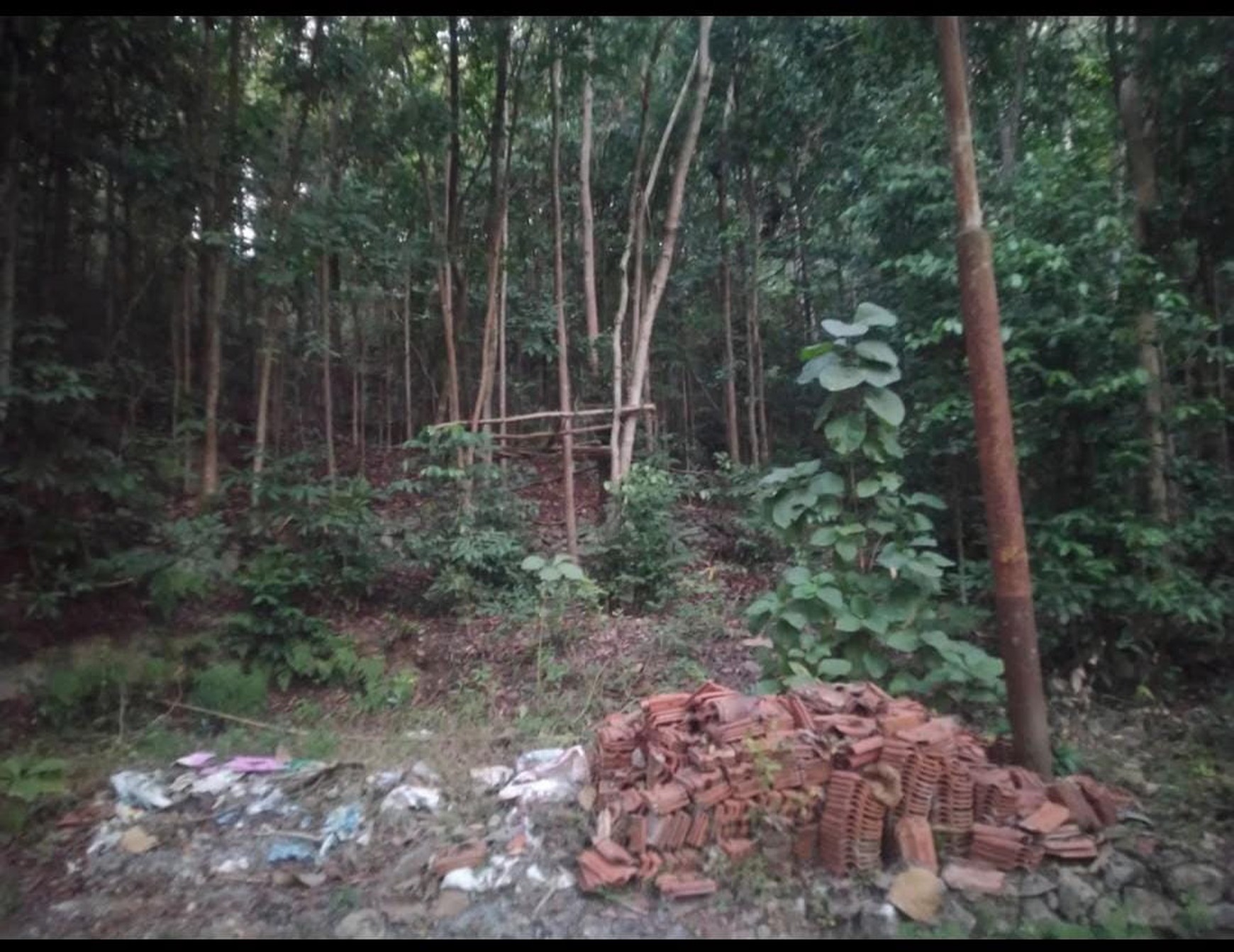 Tanah Luas 2000 Meter Persegi Lokasi Argorejo Sedayu Sleman 