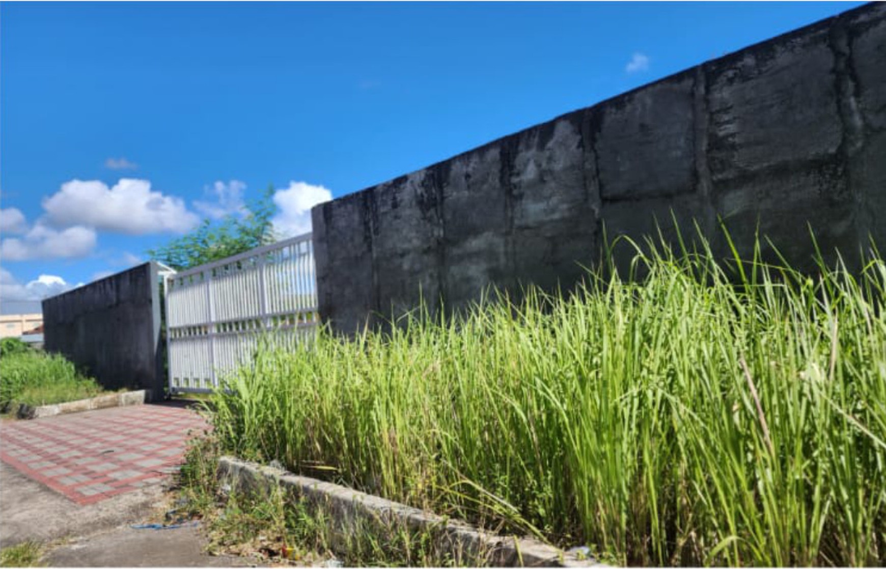Tanah Luas 125 Meter Persegi di Gamping Sleman