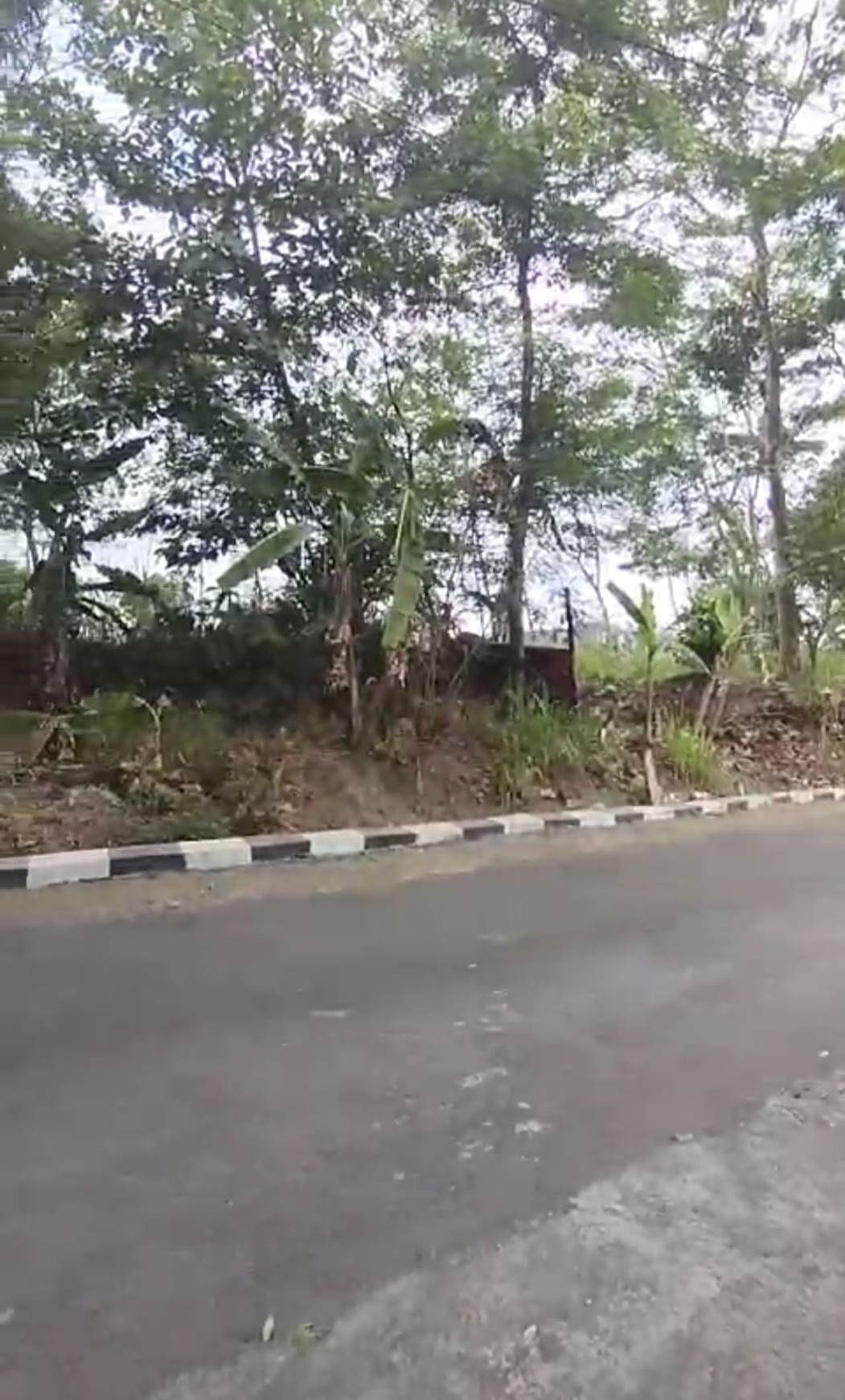 Tanah Pekarangan 1869 Meter Persegi Lokasi Dekat Jalan Palagan Sariharjo Ngaglik Sleman