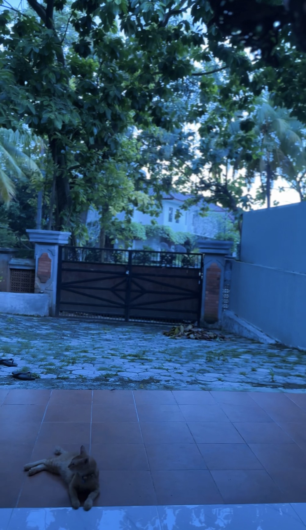 Kavling Siap Bangun Di Bali View, Jl Tampak Siring Ciputat