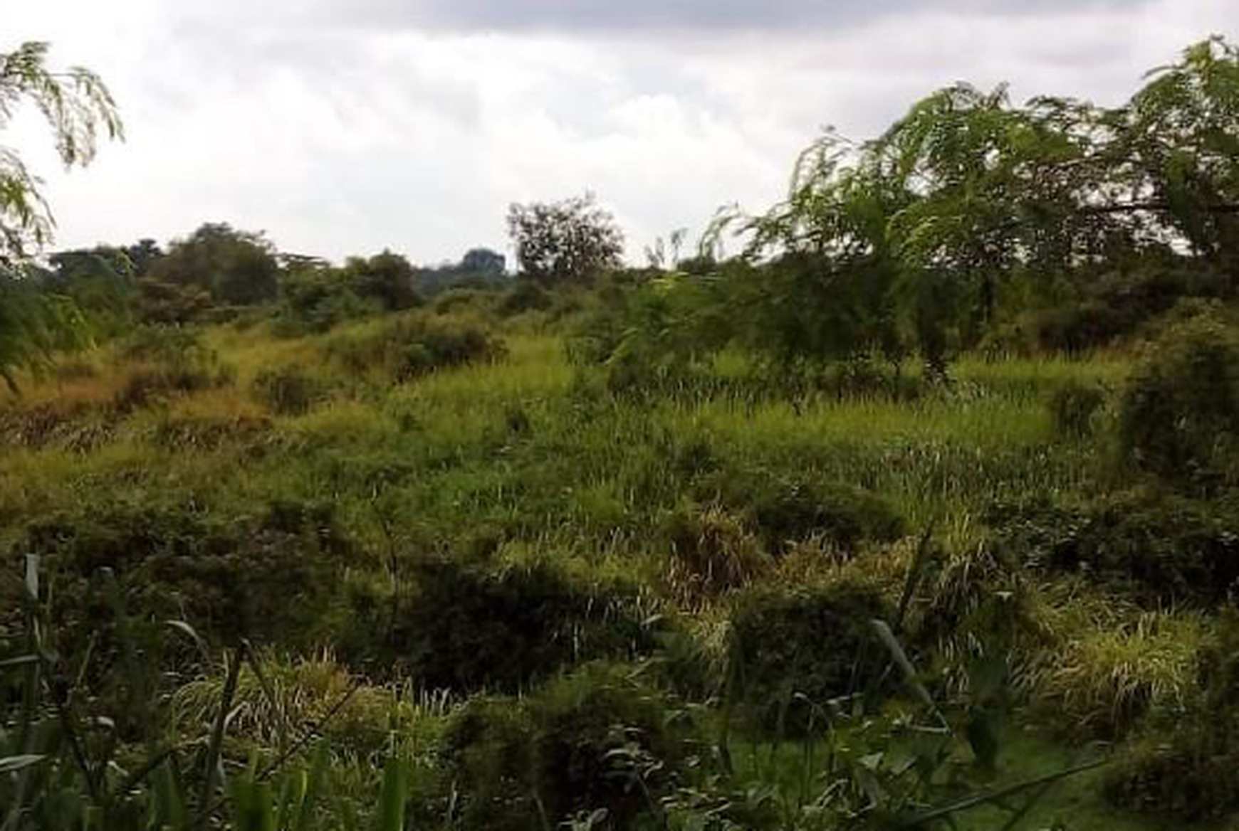 Tanah Luas 80Ha di Jl Raya Solear Kabupaten Tangerang