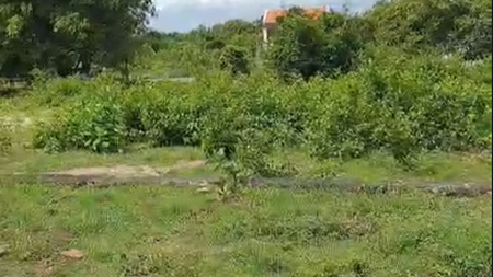 Tanah lokasi bagus di Desa Kutuh Ungasan Bali