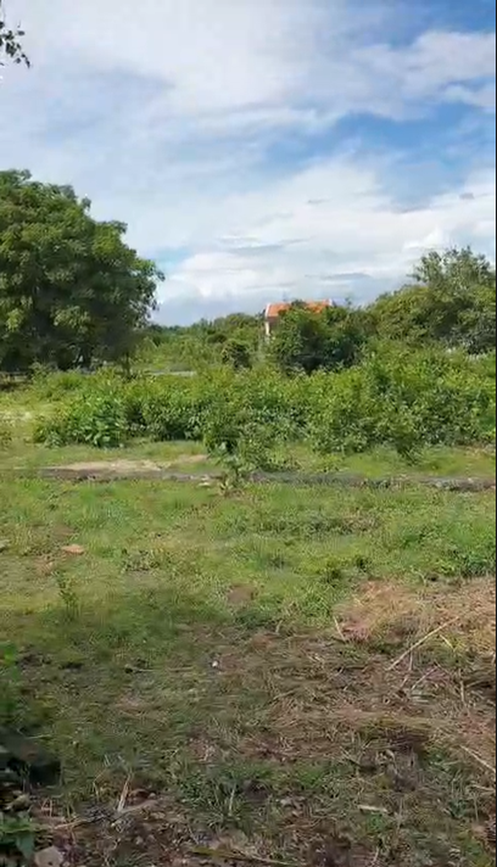 Tanah lokasi bagus di Desa Kutuh Ungasan Bali