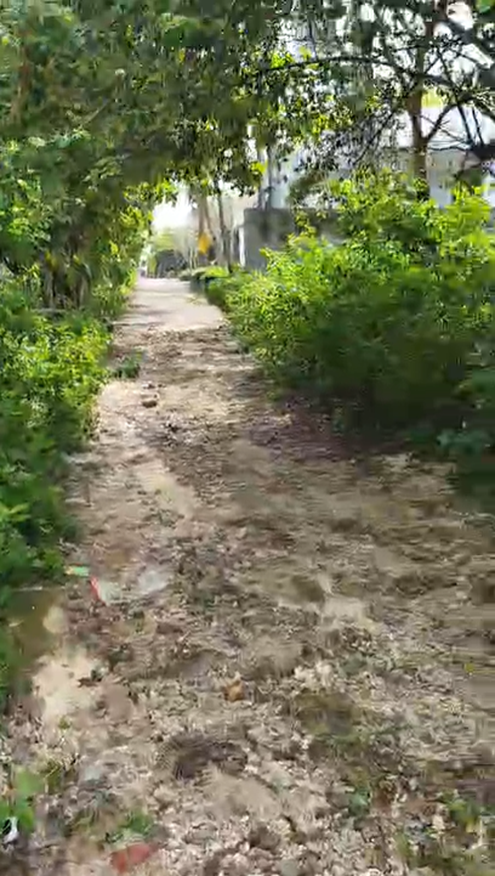 Tanah lokasi bagus di Desa Kutuh Ungasan Bali