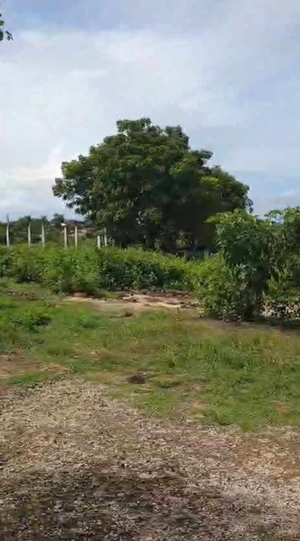 Tanah lokasi bagus di Desa Kutuh Ungasan Bali