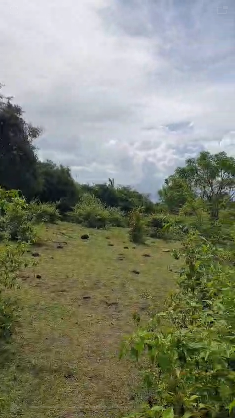 Tanah lokasi bagus di Desa Kutuh Ungasan Bali