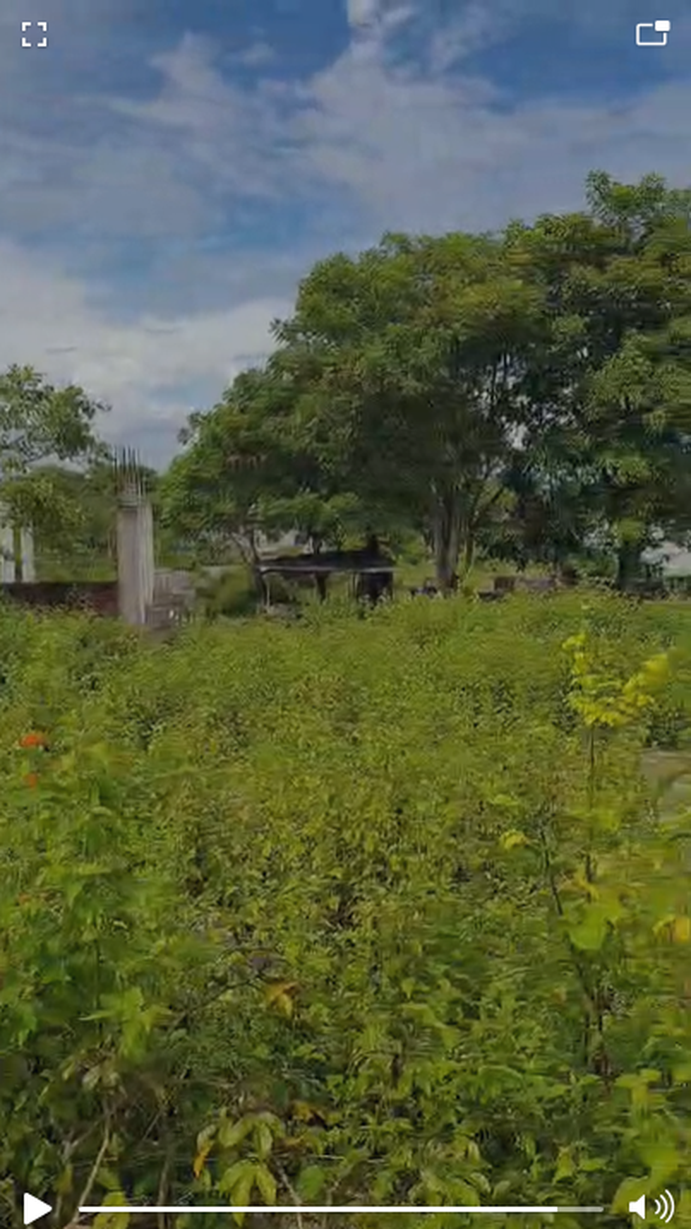 Tanah lokasi bagus di Desa Kutuh Ungasan Bali