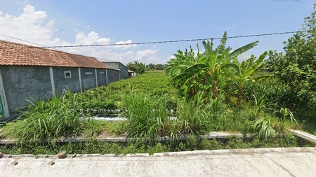 Tanah Sawah  Luas 299 Meter persegi, Lokasi Strategis dekat Jalan Srandakan, Pandak, Bantul