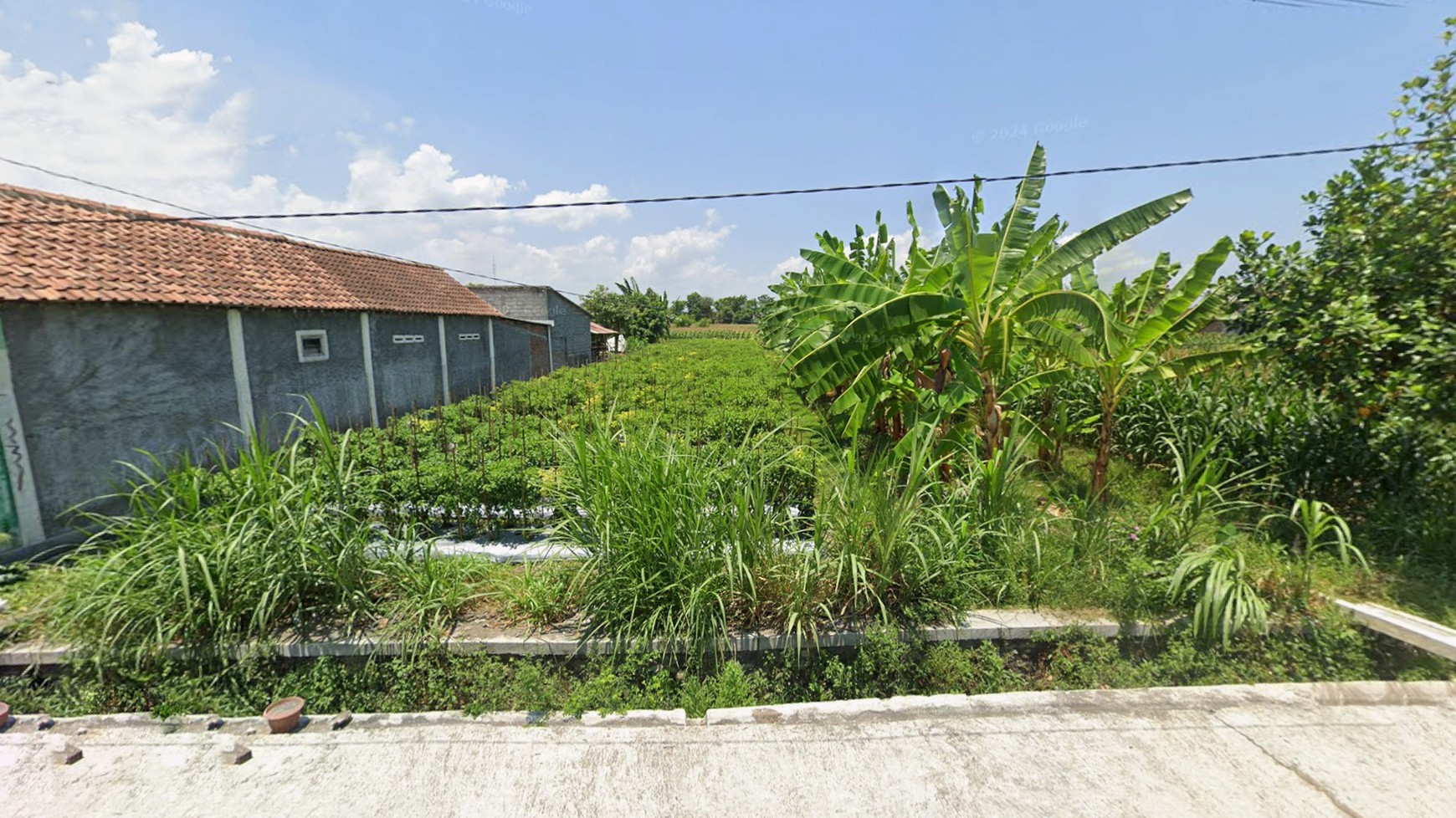 Tanah Sawah Luas 299 Meter persegi, Lokasi Strategis dekat Jalan Srandakan, Pandak, Bantul