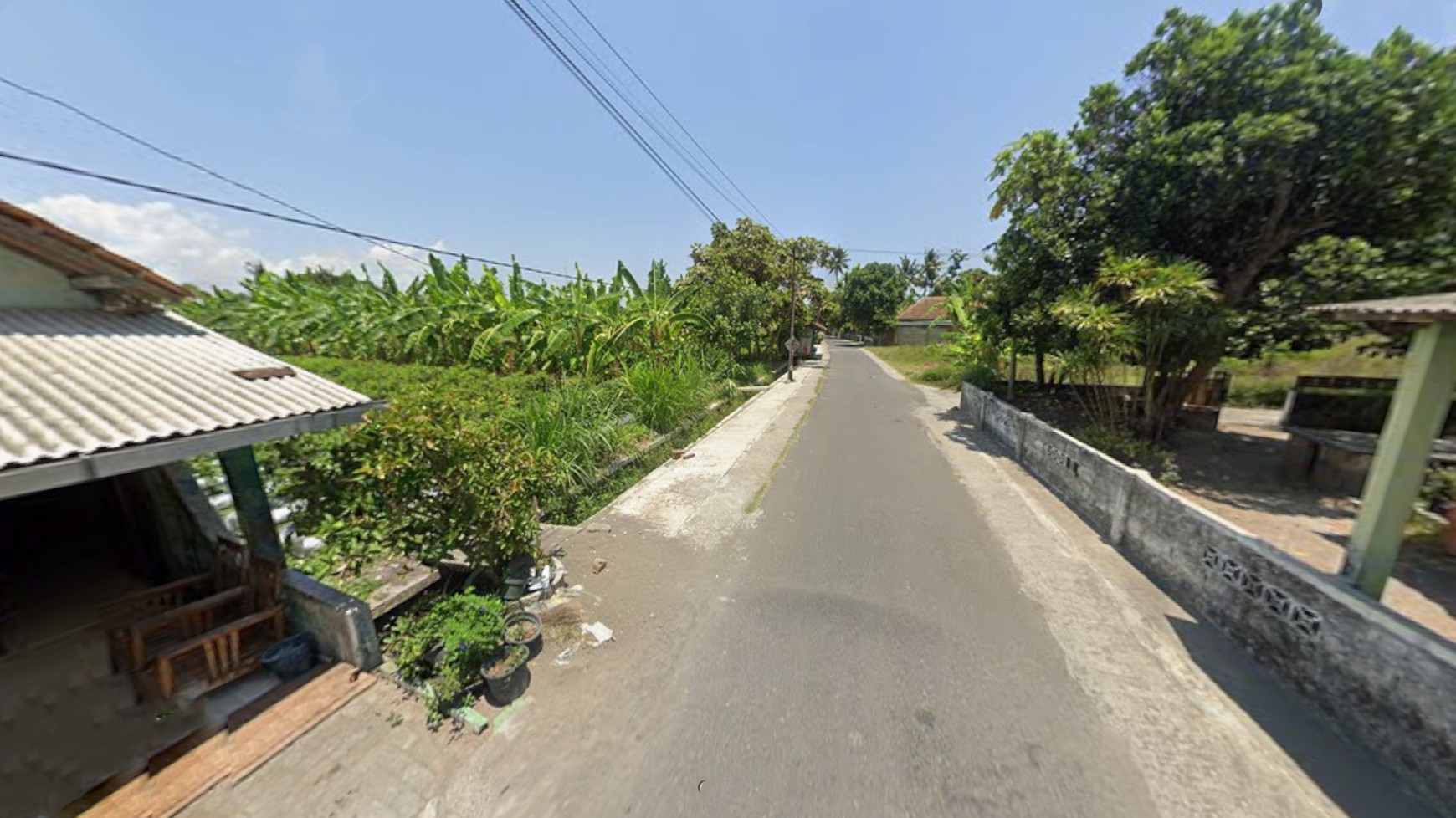 Tanah Sawah Luas 299 Meter persegi, Lokasi Strategis dekat Jalan Srandakan, Pandak, Bantul