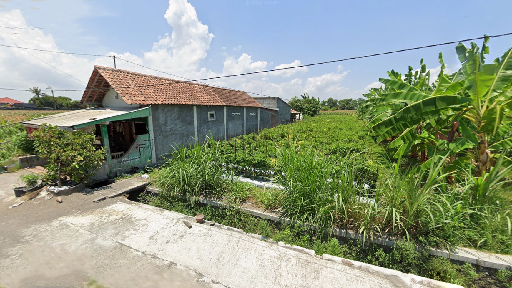 Tanah Sawah Luas 299 Meter persegi, Lokasi Strategis dekat Jalan Srandakan, Pandak, Bantul
