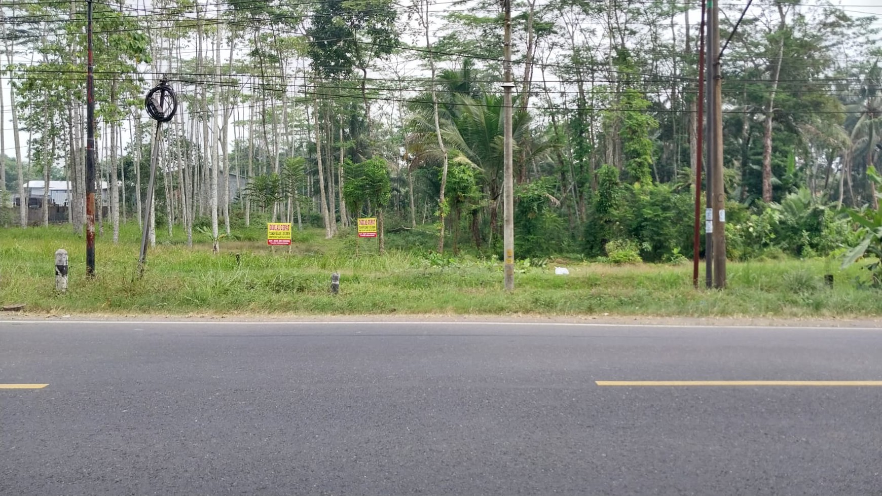 Tanah di Jl Raya Cilumuh, Kec Cumanggu. Kab Cilacap