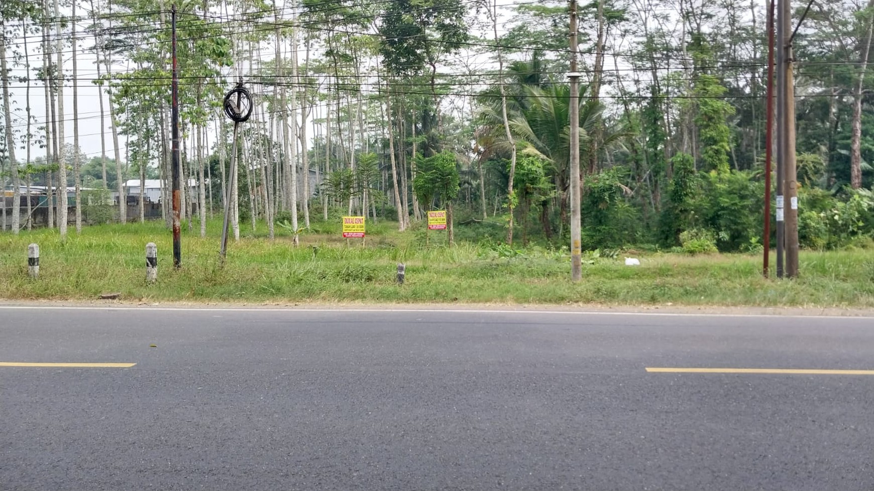 Tanah di Jl Raya Cilumuh, Kec Cumanggu. Kab Cilacap