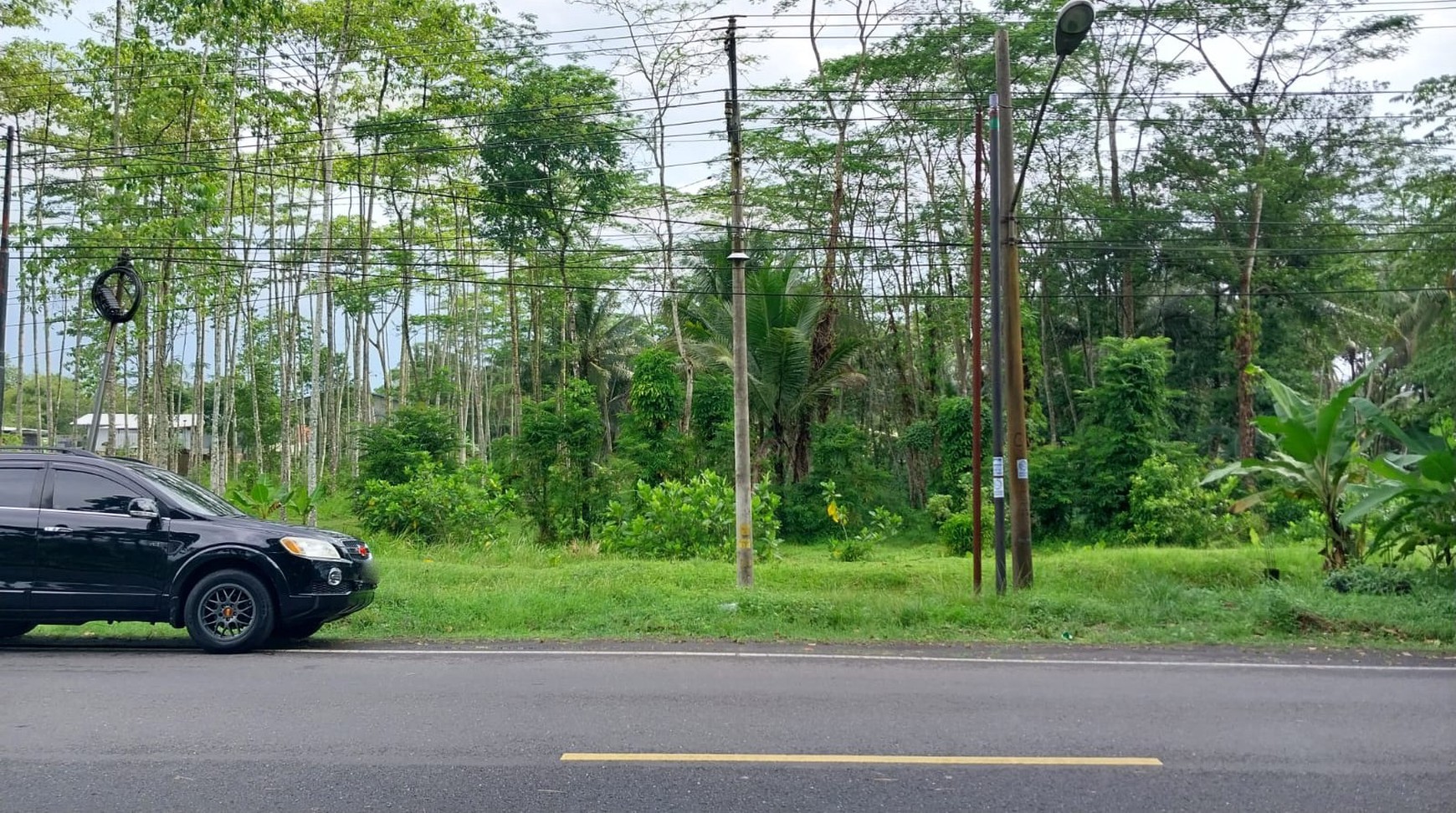 Tanah di Jl Raya Cilumuh, Kec Cumanggu. Kab Cilacap
