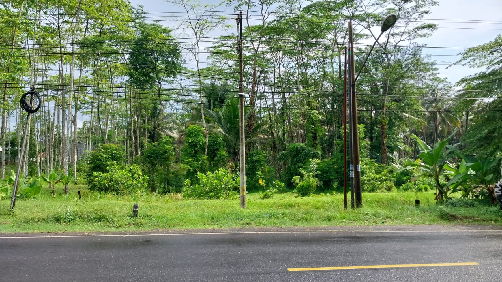 Tanah di Jl Raya Cilumuh, Kec Cumanggu. Kab Cilacap