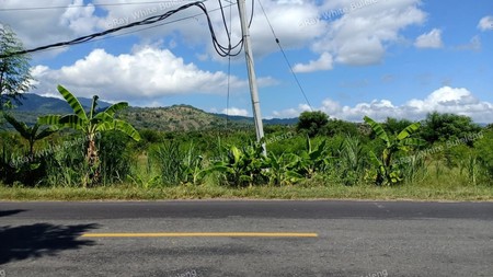 LAND FOR SALE IN THE WEST OF BULELENG