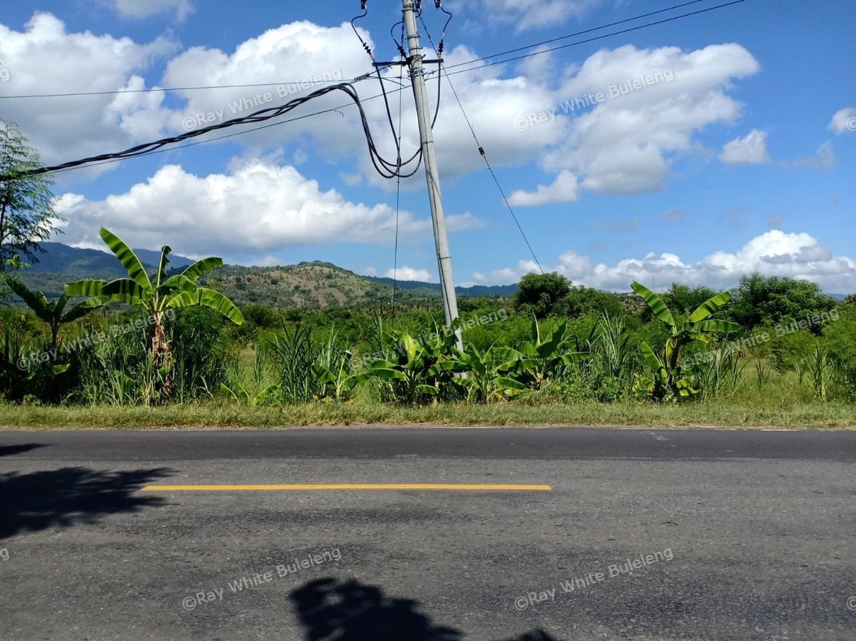 LAND FOR SALE IN THE WEST OF BULELENG