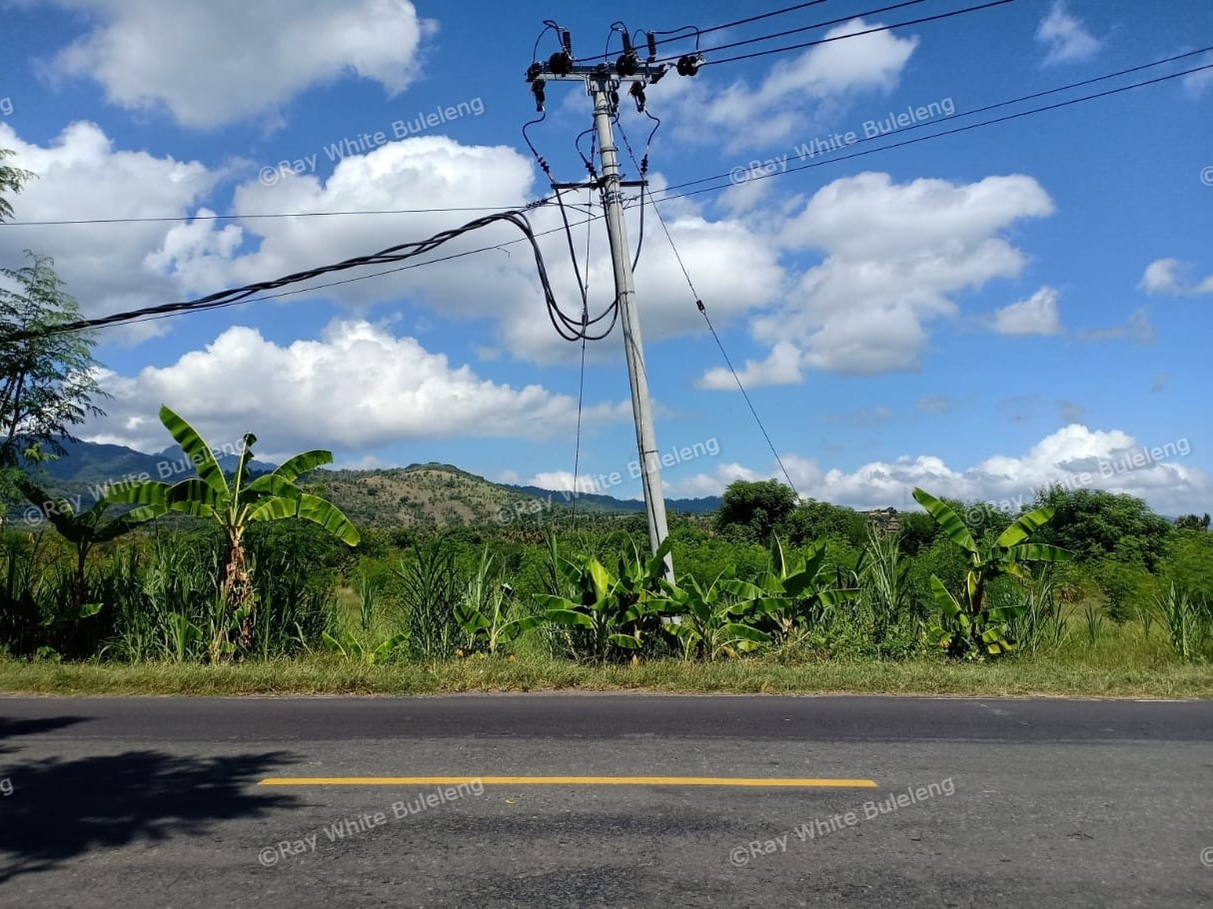 LAND FOR SALE IN THE WEST OF BULELENG