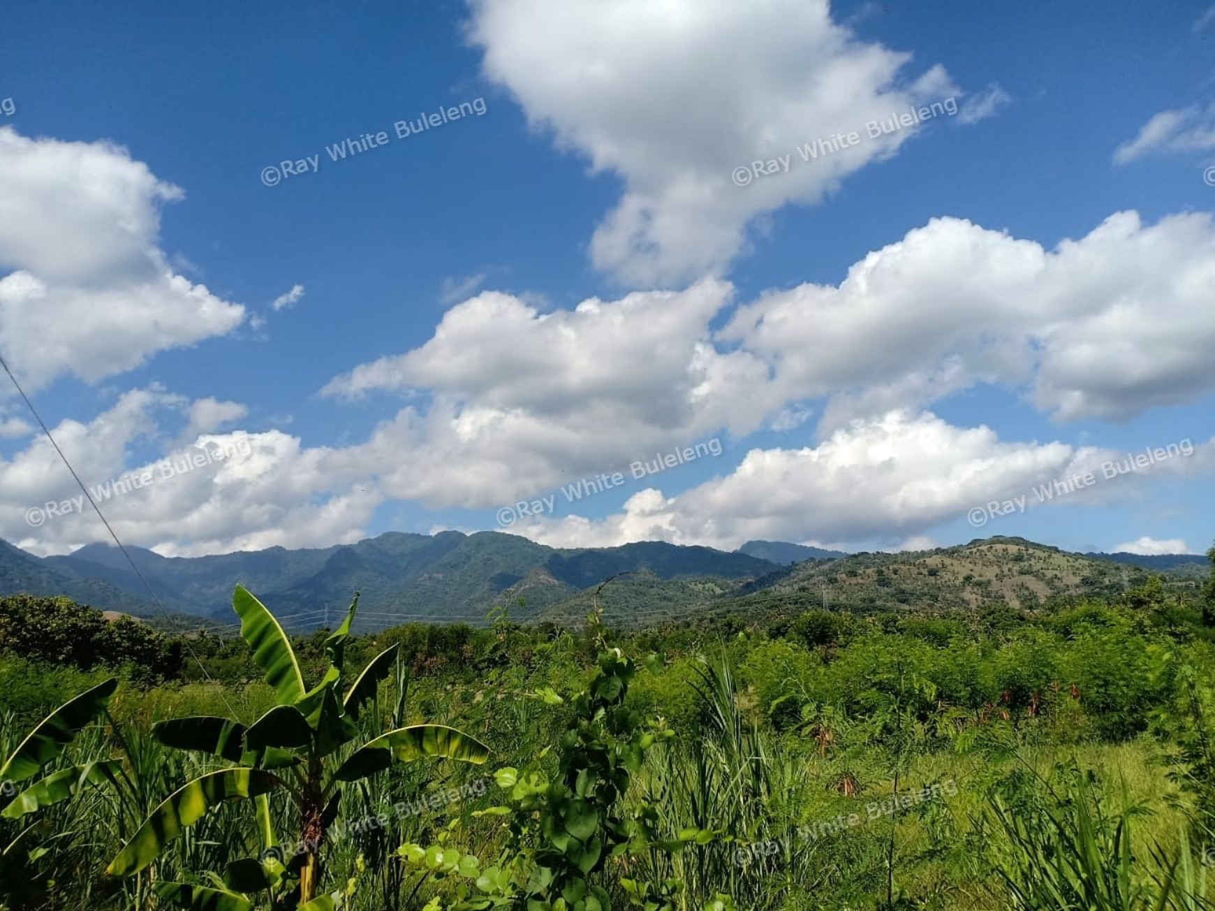 LAND FOR SALE IN THE WEST OF BULELENG