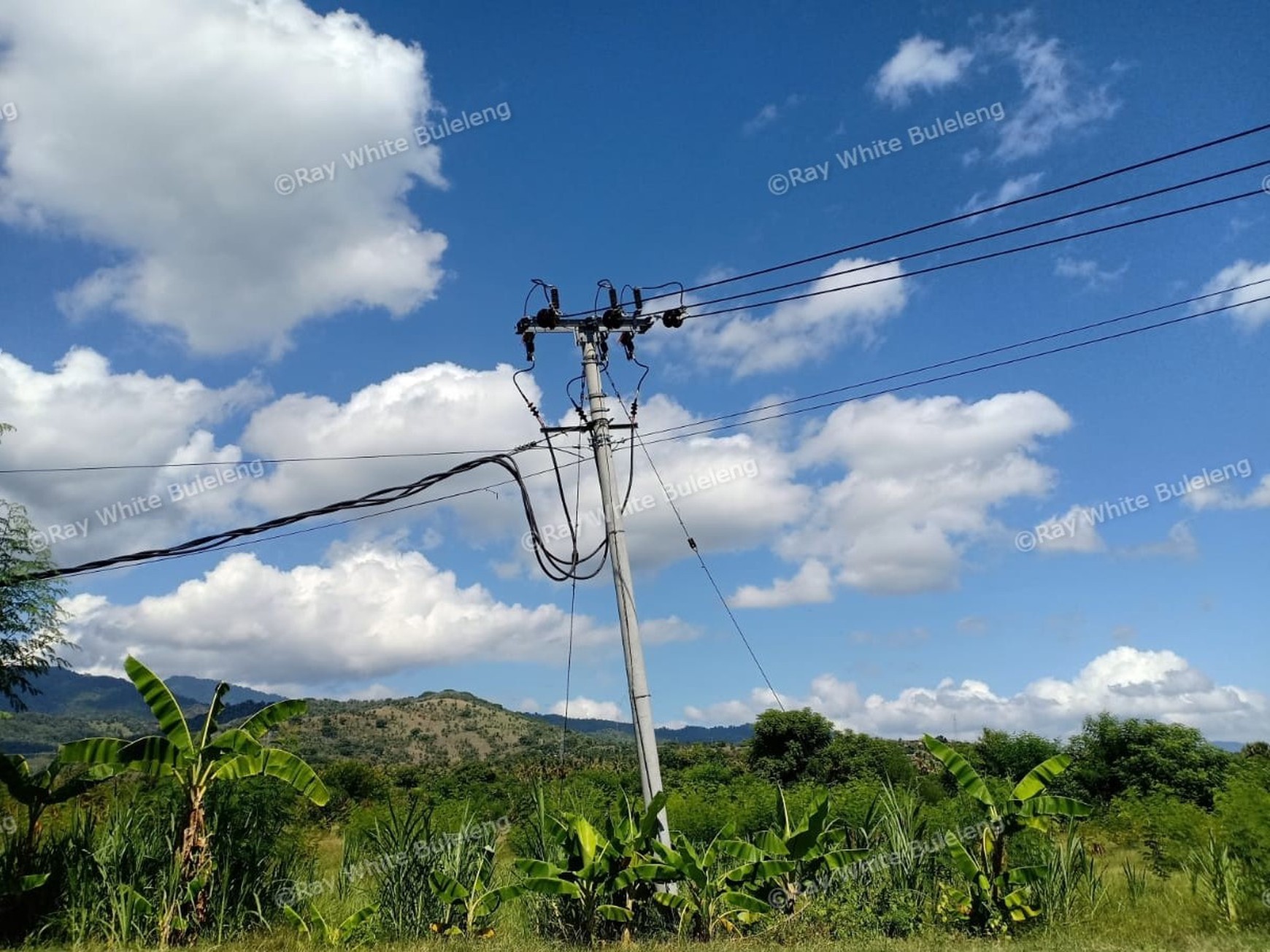 LAND FOR SALE IN THE WEST OF BULELENG