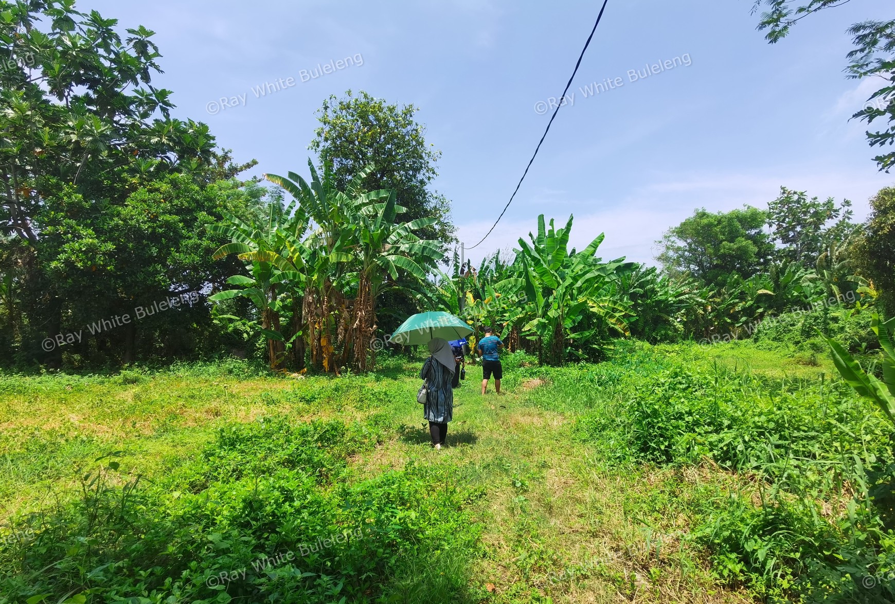 BEACH VIEW LAND NEAR CITY CENTER FOR SALE