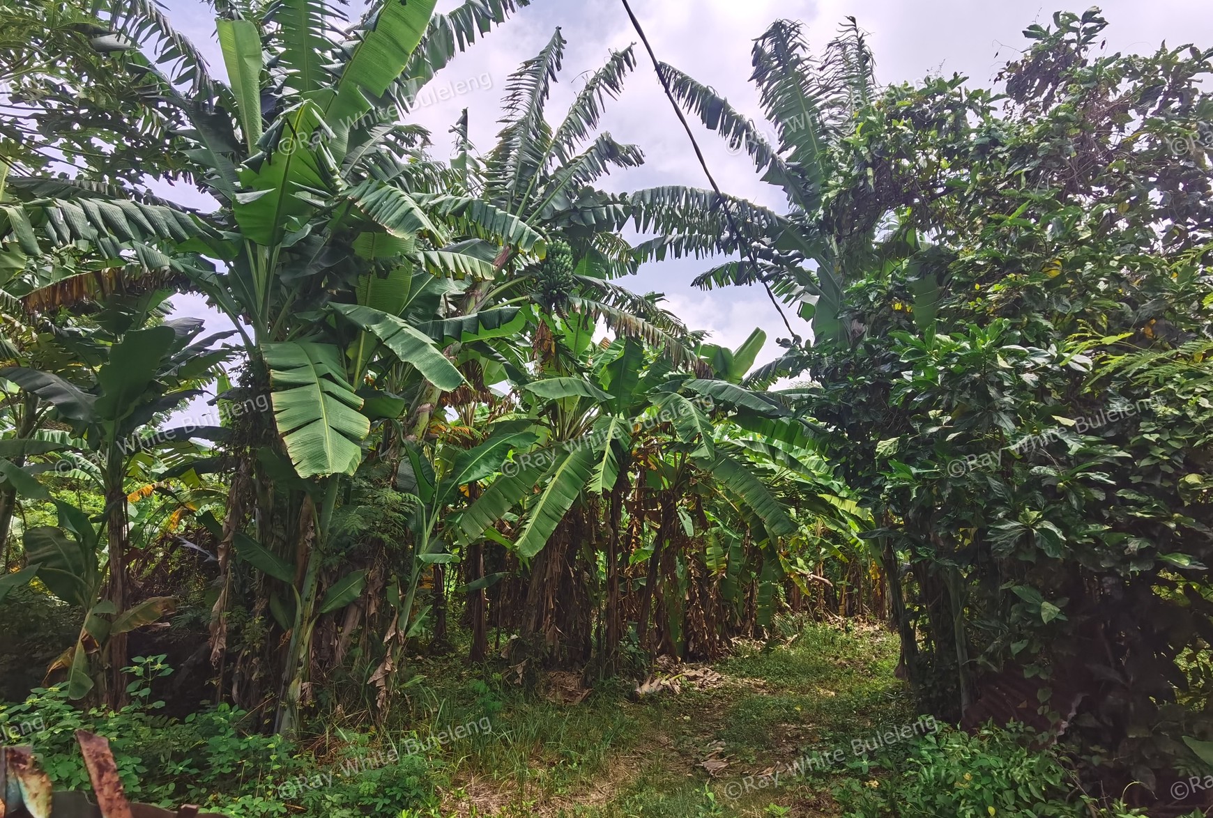 BEACH VIEW LAND NEAR CITY CENTER FOR SALE