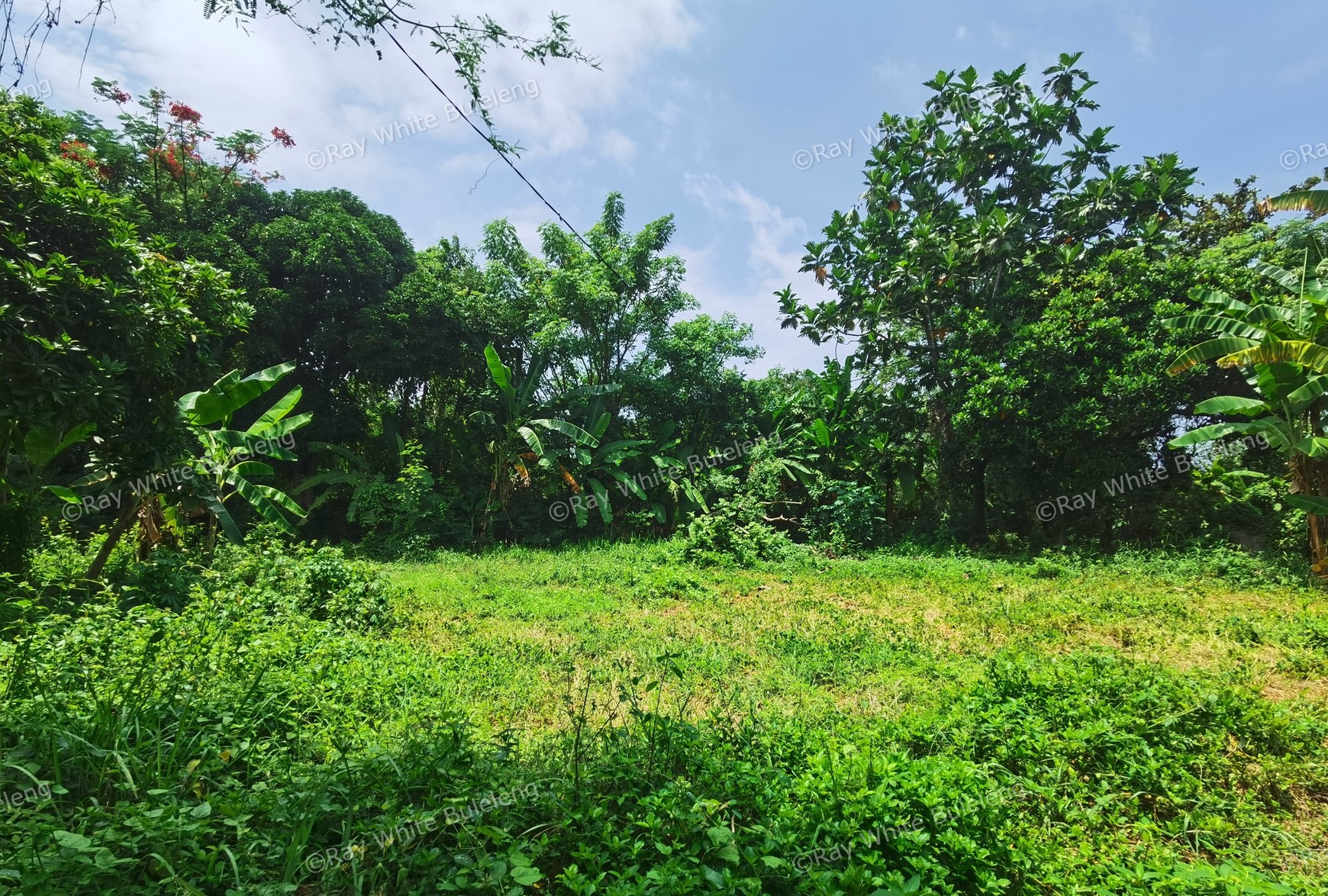 BEACH VIEW LAND NEAR CITY CENTER FOR SALE