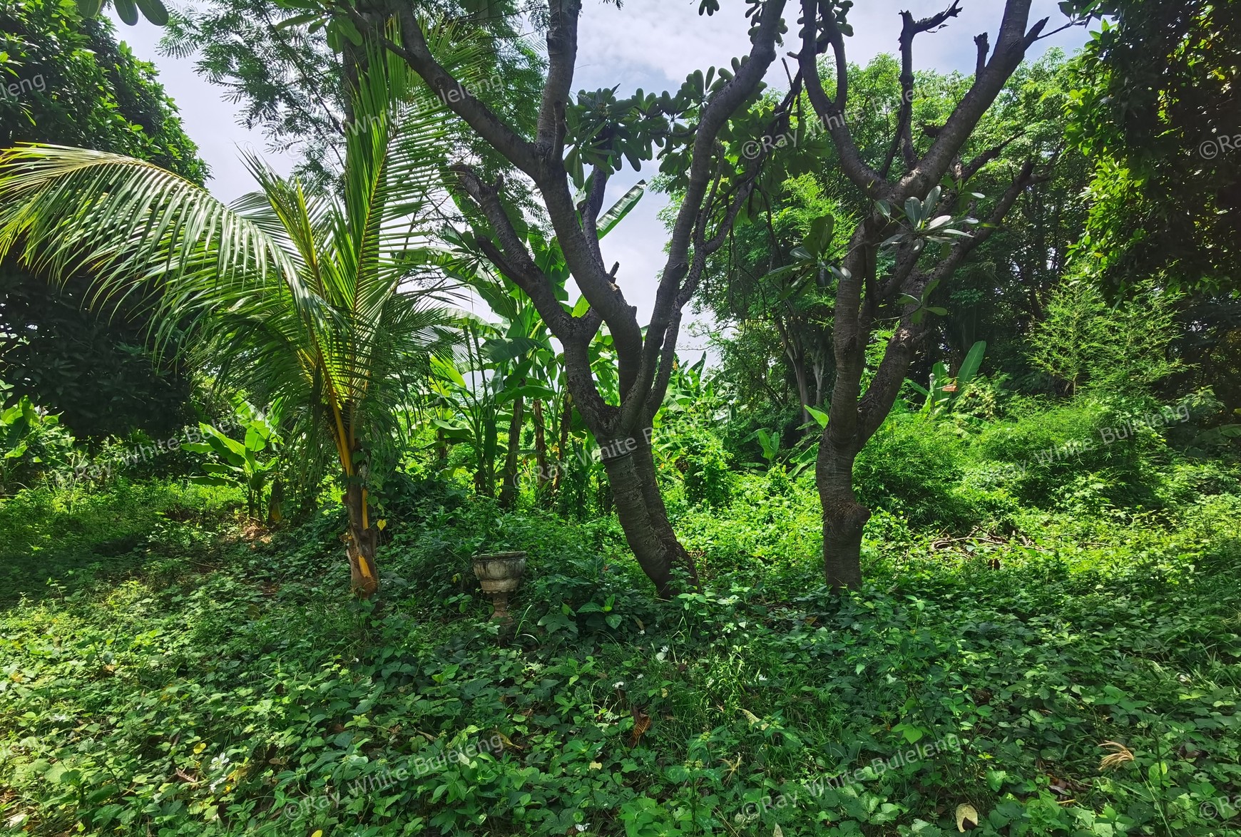 BEACH VIEW LAND NEAR CITY CENTER FOR SALE