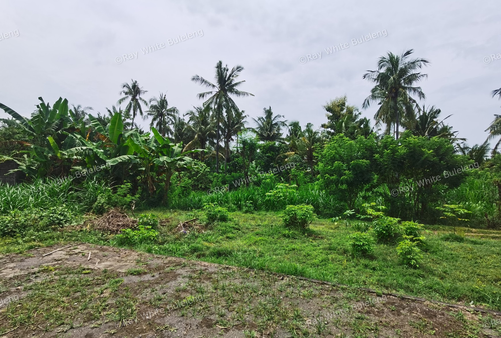 LAND IN THE WEST OF BULELENG