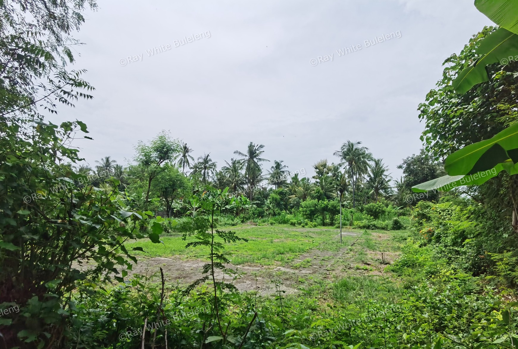 LAND IN THE WEST OF BULELENG