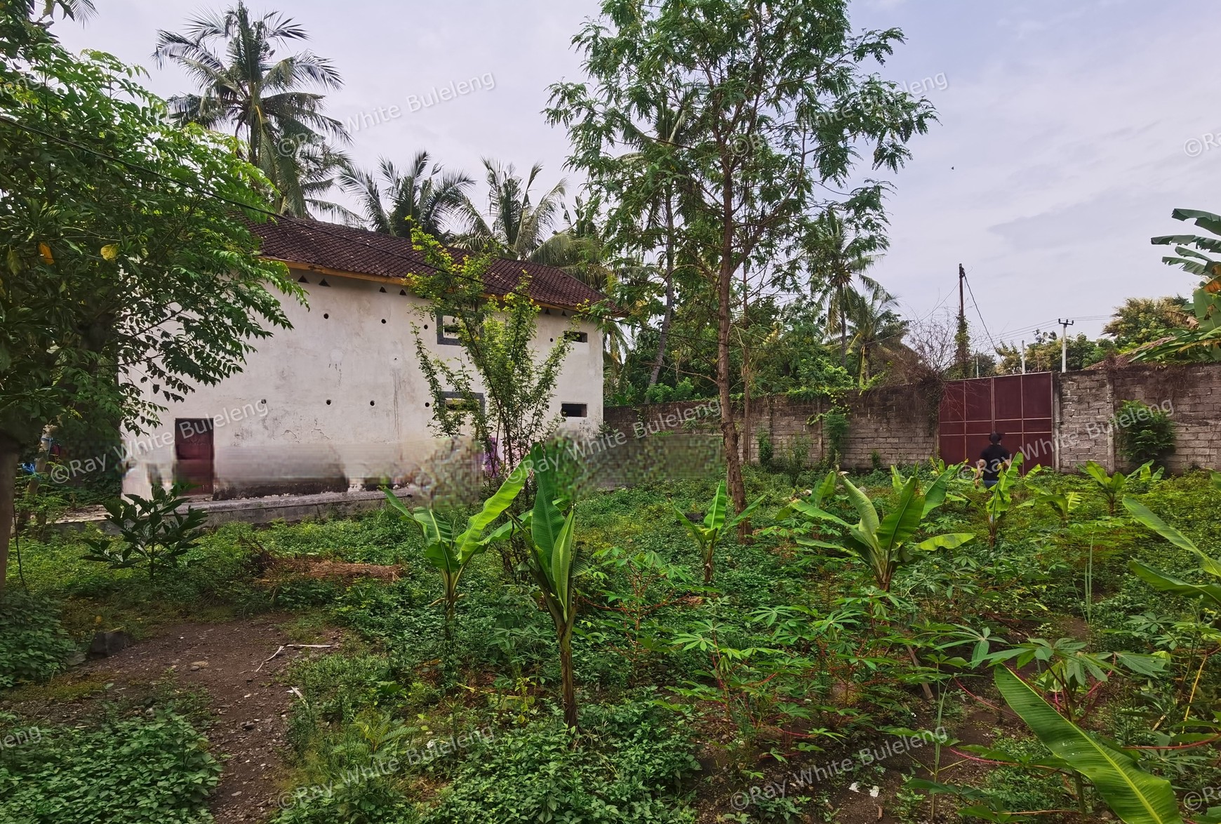 LAND IN THE WEST OF BULELENG