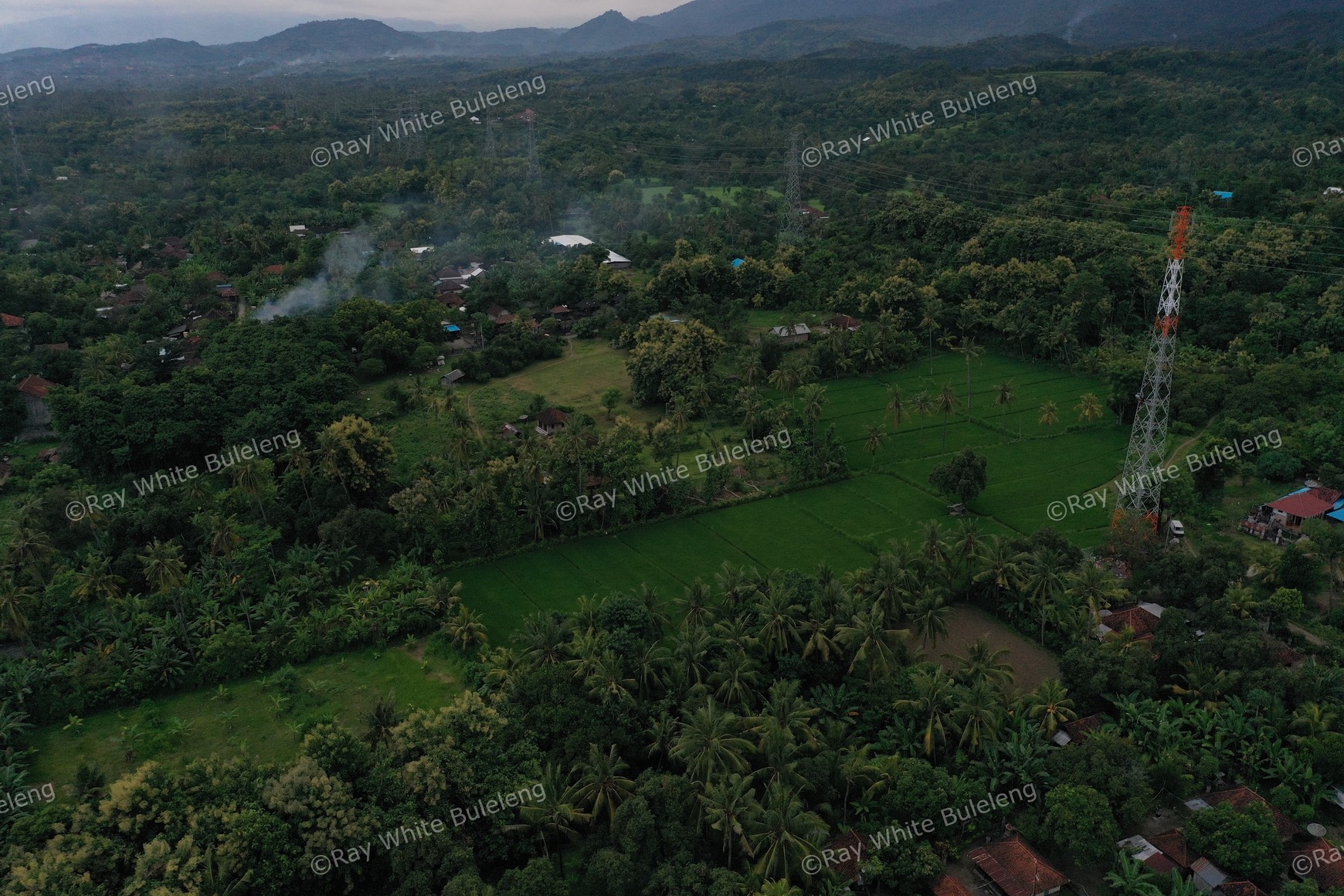 LAND IN THE WEST OF BULELENG